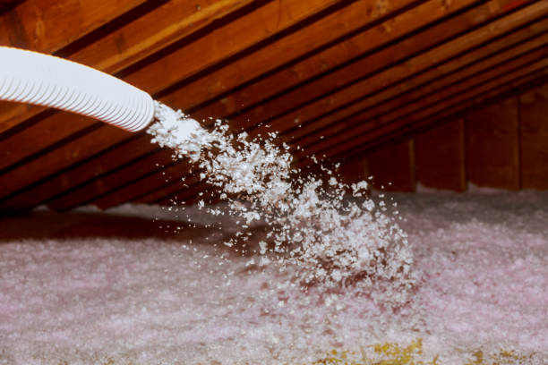 Best Crawl Space Insulation  in Seacliff, CA