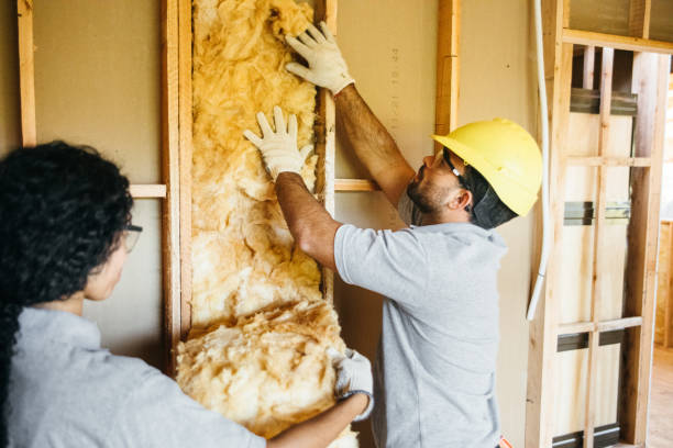 Best Best Insulation Companies  in Seacliff, CA