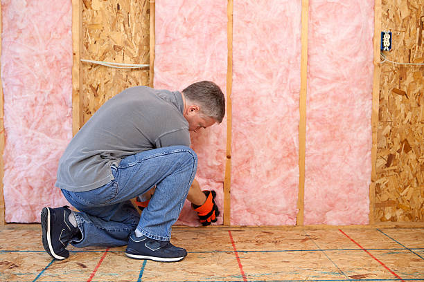 Best Wall Insulation Contractor  in Seacliff, CA