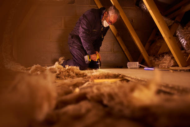 Best Insulation Repair Services  in Seacliff, CA